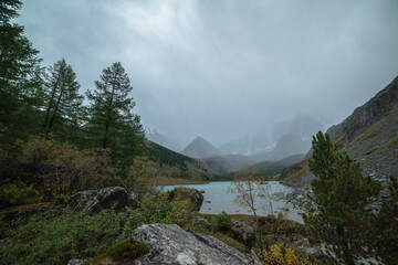Gloomy view from forest hill with autumn flora to mountain lake and high snowy mountains under gray cloudy sky. Alpine lake against pyramid shaped mountain silhouette during rain. Fading autumn colors