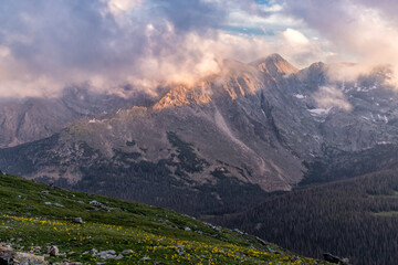 Fototapeta premium Misty Mountain Peaks & trail Ridge Alpine Sunflowers