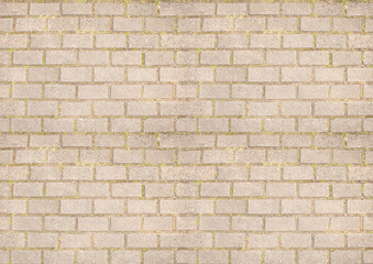 Fototapeta premium Textura de piso ladrillo urbano con tierra y pasto