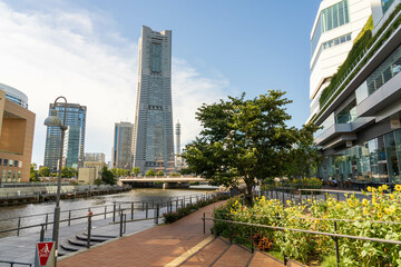 みなとみらいとひまわり