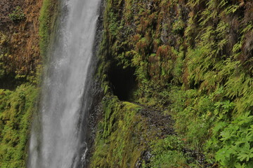 Naklejka na ściany i meble Tunnel Falls in Oregon