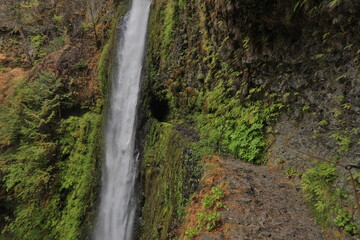 Fototapeta na wymiar Tunnel Falls in Oregon