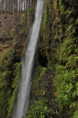 Tunnel Falls in Oregon