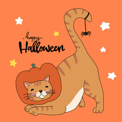 Orange tabby cat in pumpkin Halloween costume cartoon vector illustration	
