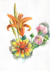 bouquet of summer flowers watercolor - 520299494