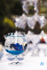 Blue fish in a glass vase on the wedding table