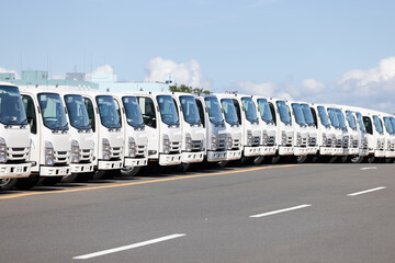 駐車場に整列する輸出前の白いトラック
