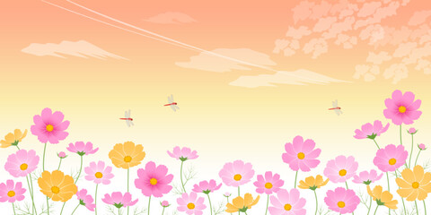 夕焼けとコスモス畑_イメージ背景（2：1）_ベクターイラスト © あ こ