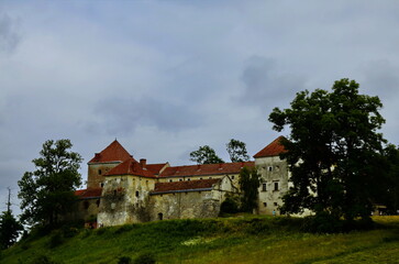 Obraz premium View to ancient castle in Svirzh, Ukraine .