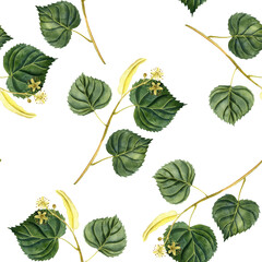 watercolor drawingseamless pattern with branch of lime tree, Tilia with green leaves and flowers, hand drawn illustration