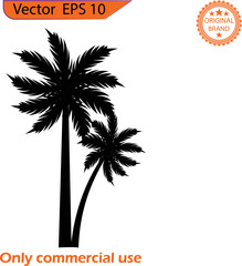 Palm tree clip art. Vector of the palm tree. Summer content. Transparent background. High resolution. 