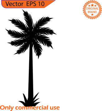 Palm tree clip art. Vector of the palm tree. Summer content. Transparent background. High resolution. 