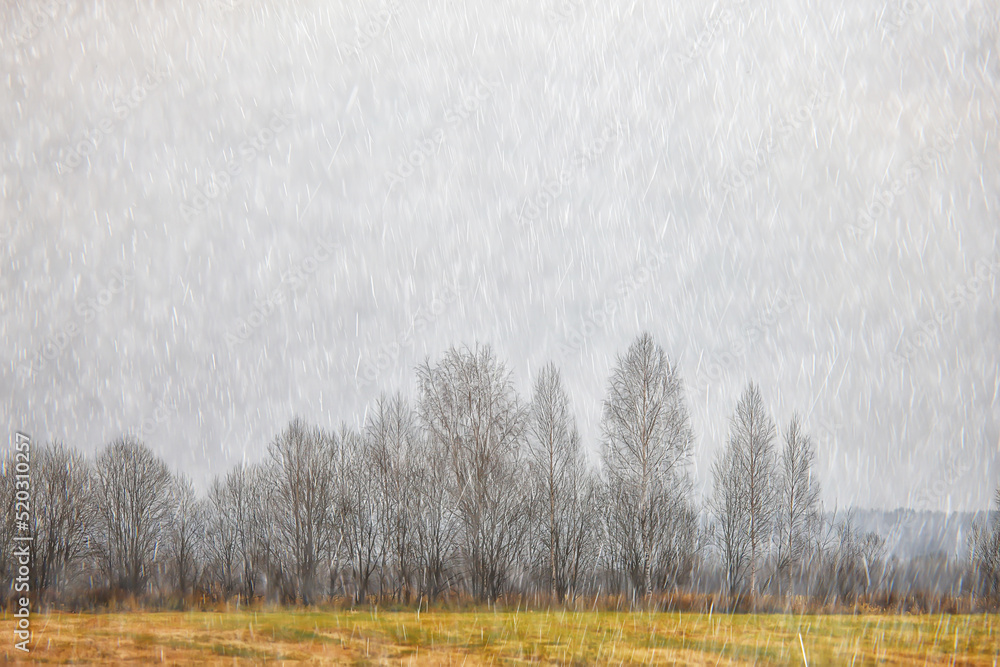 Wall mural autumn landscape nature rain drops weather wet outdoor landscape view autumn weather