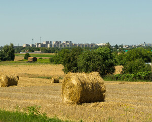 bales of hay, in the background a view of the city