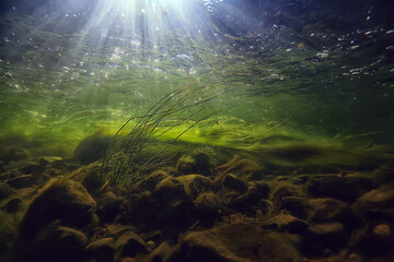 Fototapeta na wymiar sun rays under water landscape, seascape fresh water river diving