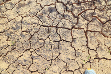 drought in the field agriculture problem heat cracked earth