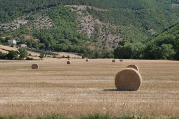 Paesaggio con balle di fieno