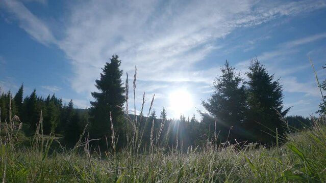 beautiful sunny day in the Izera Mountains, the sun and clouds. timelapse. 