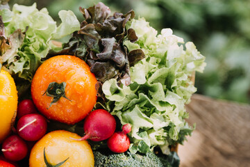 female farmer working early on farm holding wood basket of fresh vegetables and tablet