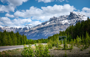 Beautiful mountain landscape. Canadian Rockies. Saskatchewan River Crossing. Banff National Park....