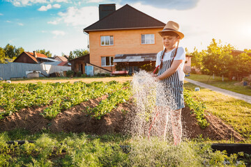 Child watering plants in garden. Kid with water hose in sunny backyard. Little girl gardening....