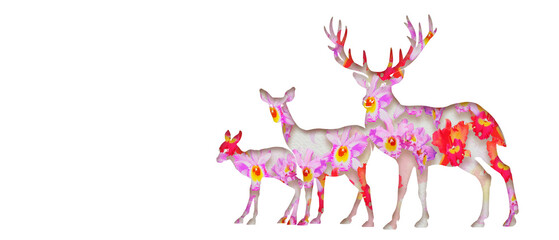 Watercolor painting animal illustration deers with cattleya orchid.