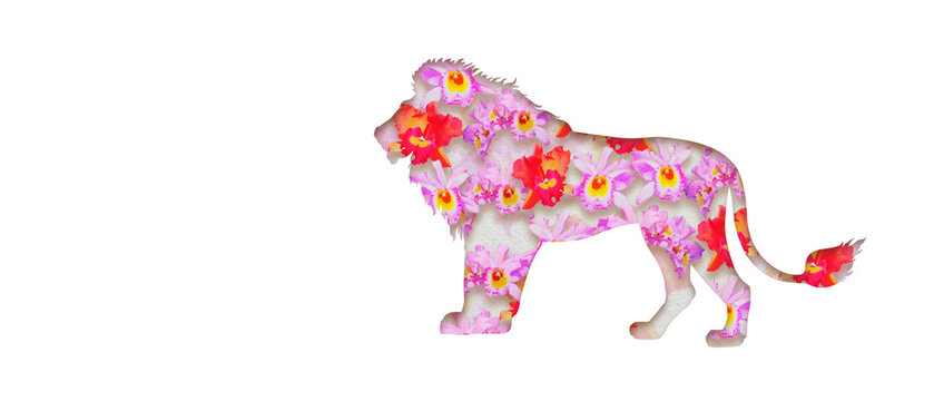 Watercolor painting animal illustration lion male big cat with cattleya orchid.