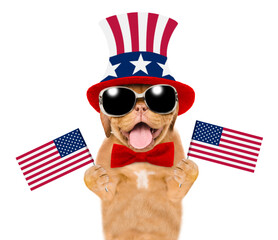 Happy Mastiff puppy wearing like Uncle Sam holds flags USA. isolated on white background