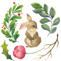Cute rabbit and plants. Peony flower, lingonberries, red berries, holly. Watercolor set of elements.