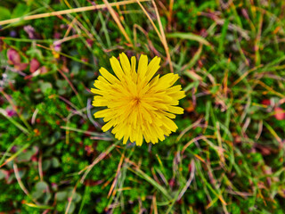 Paisajes de Islandia