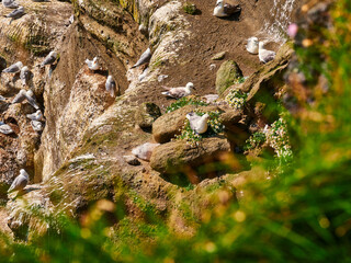 Paisajes de Islandia