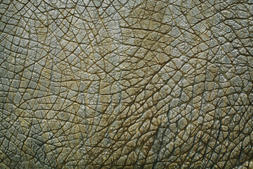 Fototapeta premium Dinosaur animal skin texture for background.
