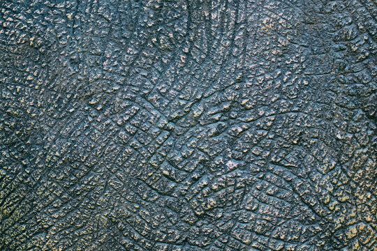 Dinosaur animal skin texture for background.