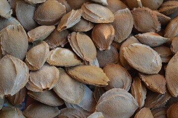 A large pile of dried apricot pits