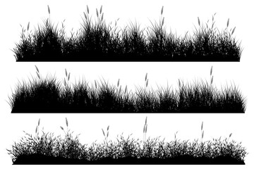 Fototapeta premium grass ground. grass foreground. grassy background