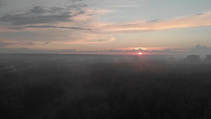 Sunset. Forest city park in the evening. Weather after the rain. Dark pines. Landscape. Evaporation over the trees. View from above