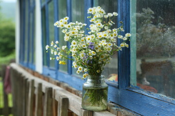 Fototapeta na wymiar Bouquet of daisies on the windowsill