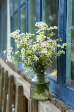 Bouquet of daisies on the windowsill