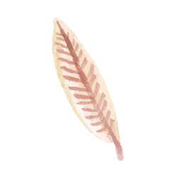 leaf isolated on white, watercolor vector, autumn leaf, illustration, orange, red, pink warm color