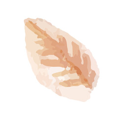 leaf isolated on white, watercolor vector, autumn leaf, illustration, orange, red, pink warm color