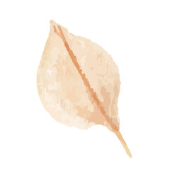 leaf isolated on white, watercolor vector, autumn leaf, illustration, orange, red, pink warm color