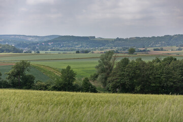 Obraz premium Beauty and tranquility in farming. Natural and healthy living in a village. Summer landscape with field of wheat in Burgenland, Austria