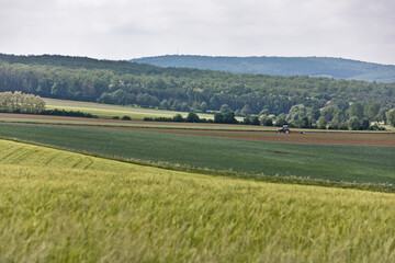 Obraz premium Beauty and tranquility in farming. Natural and healthy living in a village. Summer landscape with field of wheat in Burgenland, Austria