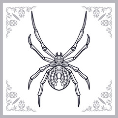black widow spider zentangle arts isolated on white backgrou