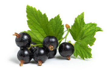 Black currant with leaves isolated. close up