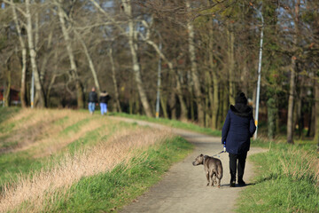 Kobieta z psem na spacerze drogą wzdłuż rzeki. - obrazy, fototapety, plakaty