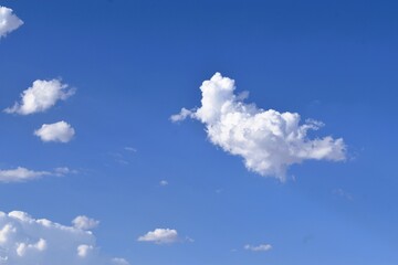 Cumulus Cloud in the Sky