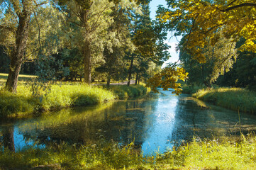 Forest with beautiful bright autumn trees and grass on the river bank