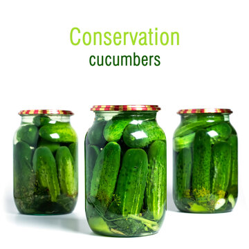 Preservations, conservation. Salted, pickled cucumbers in a jar on a white background. Cucumbers, herbs, dill, garlic.