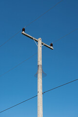 High electric voltage post and snake guard are on blue sky.